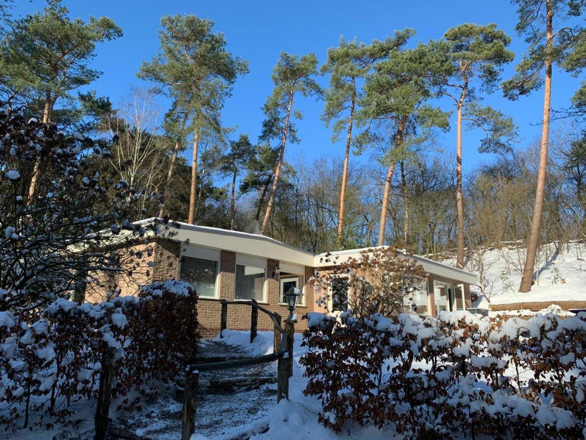 Het Fazantenbosje Villa Dalfsen Bagian luar foto
