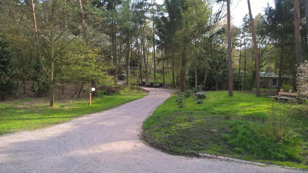 Het Fazantenbosje Villa Dalfsen Bagian luar foto