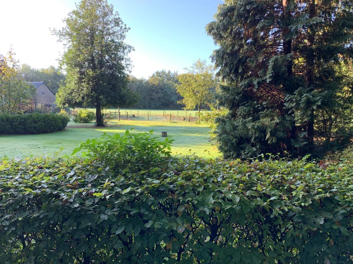 Het Fazantenbosje Villa Dalfsen Bagian luar foto
