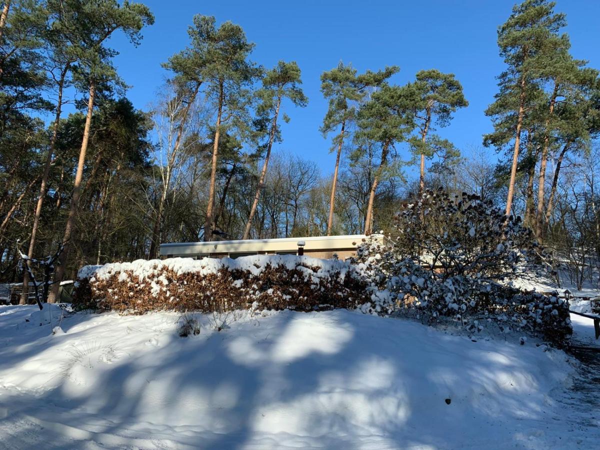 Het Fazantenbosje Villa Dalfsen Bagian luar foto