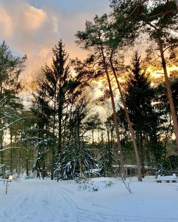 Het Fazantenbosje Villa Dalfsen Bagian luar foto