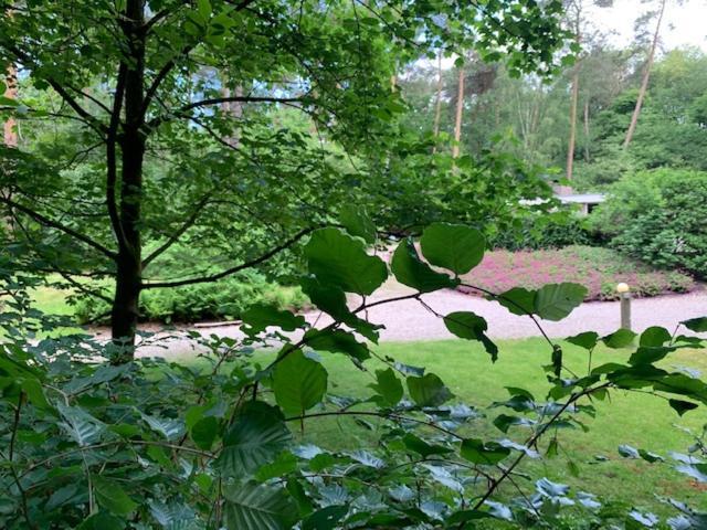 Het Fazantenbosje Villa Dalfsen Bagian luar foto