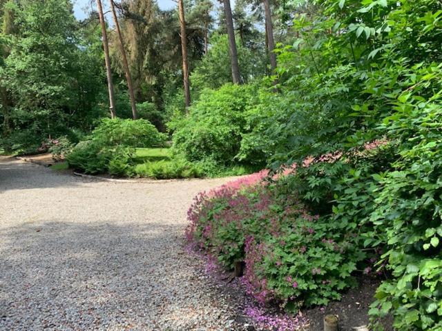Het Fazantenbosje Villa Dalfsen Bagian luar foto