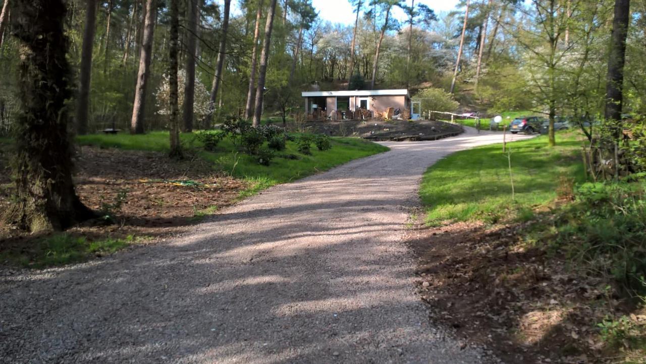 Het Fazantenbosje Villa Dalfsen Bagian luar foto