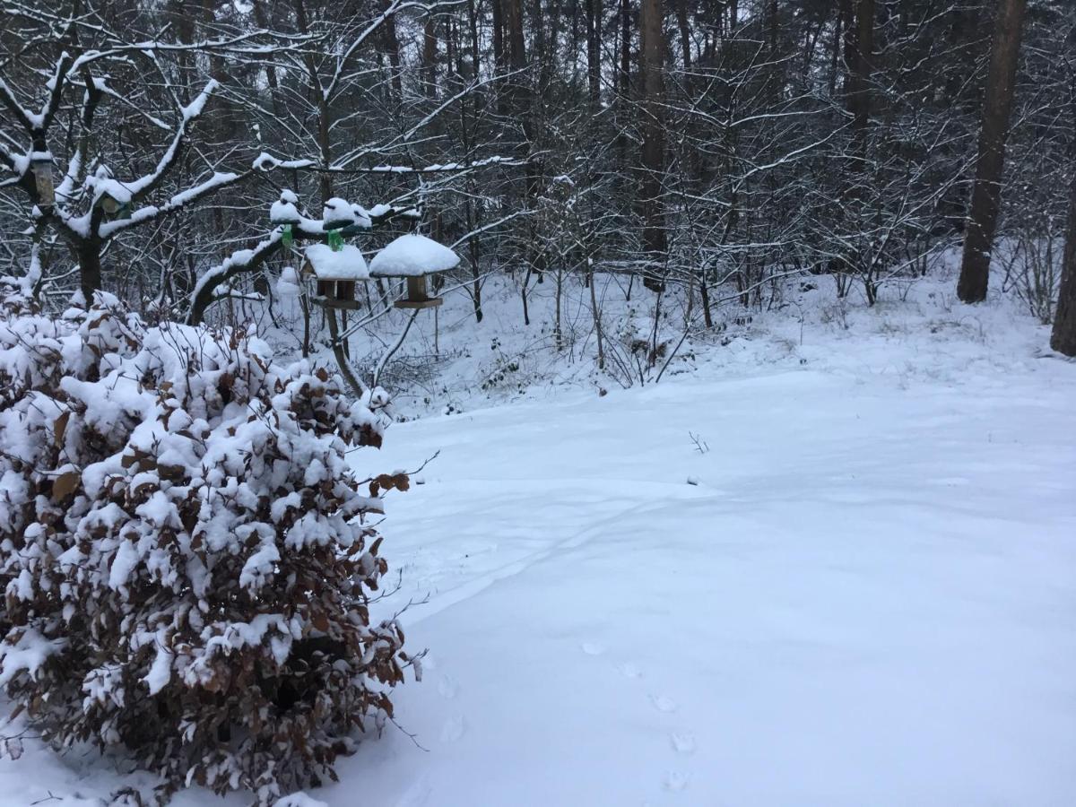 Het Fazantenbosje Villa Dalfsen Bagian luar foto