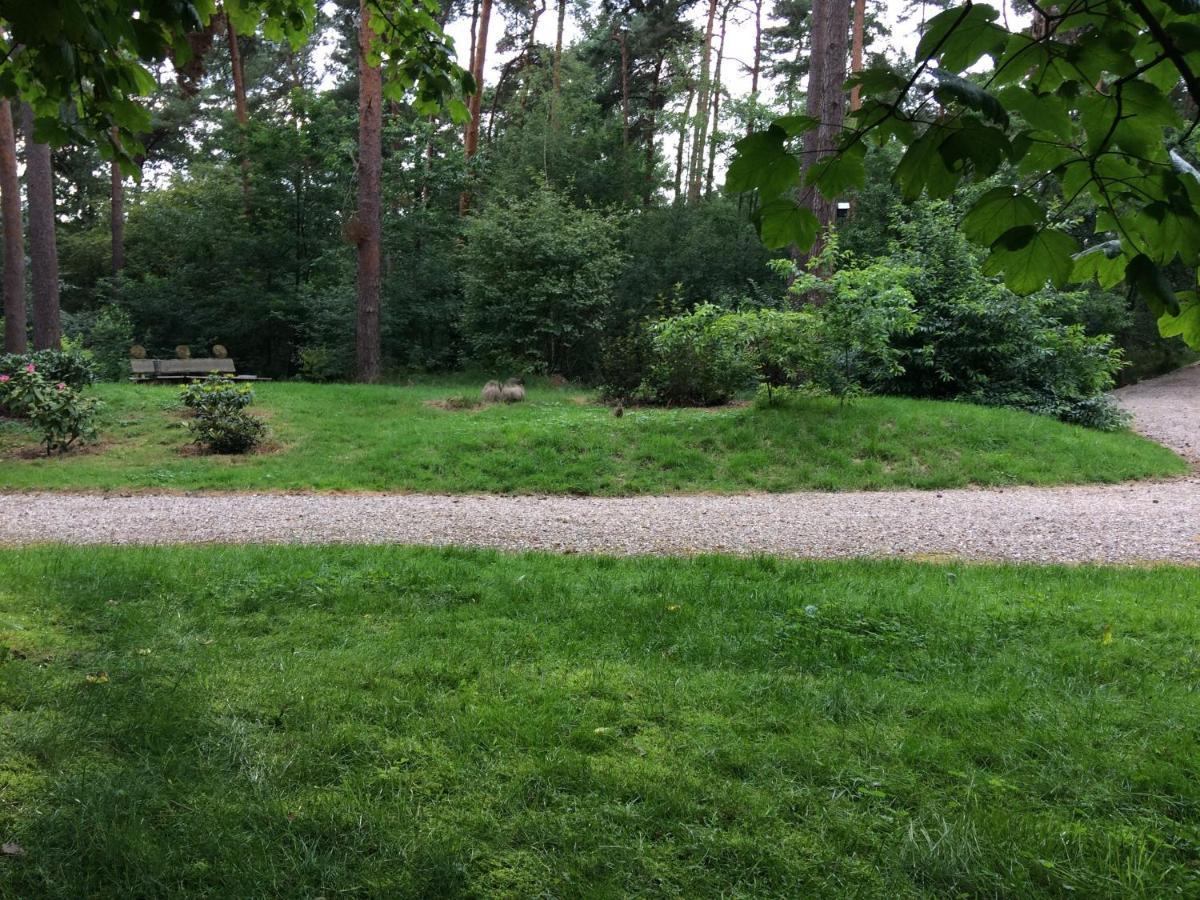 Het Fazantenbosje Villa Dalfsen Bagian luar foto
